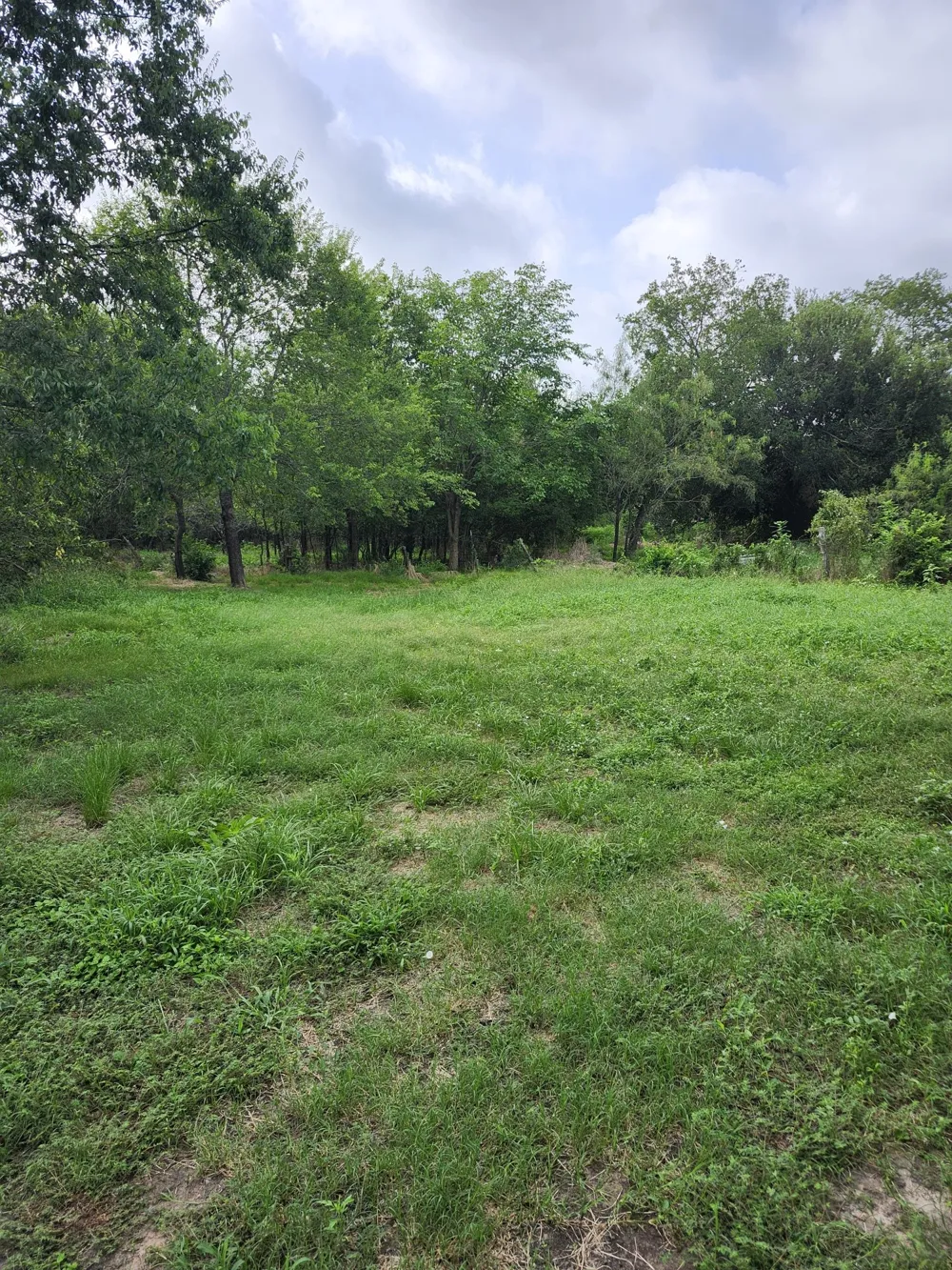 1202 Park Street Marlin, TX 76661