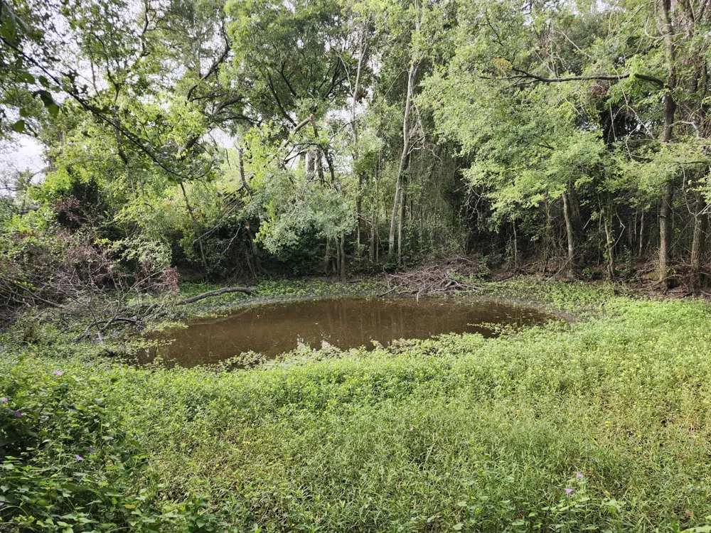 1202 Park Street Marlin, TX 76661
