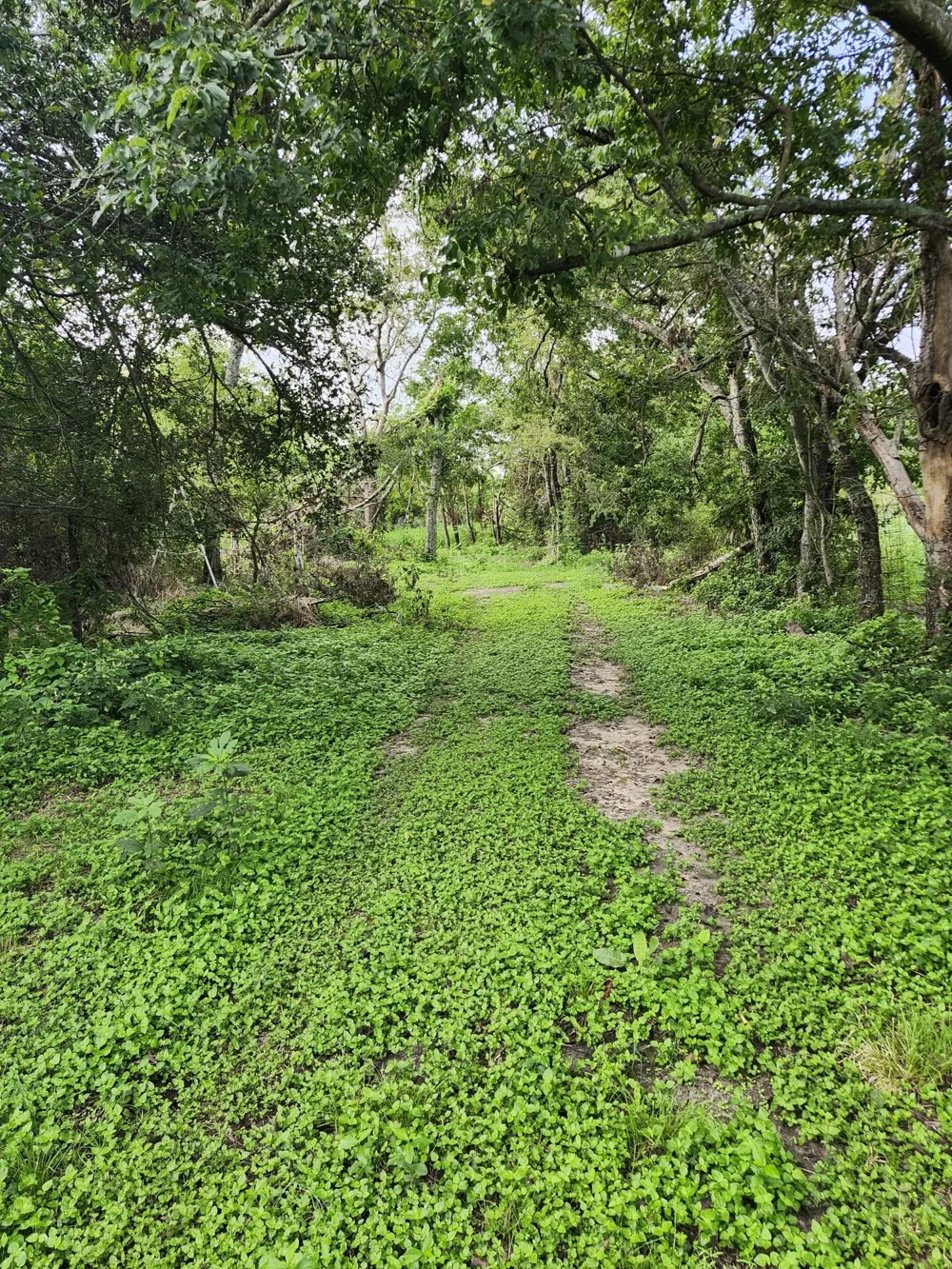 1202 Park Street Marlin, TX 76661