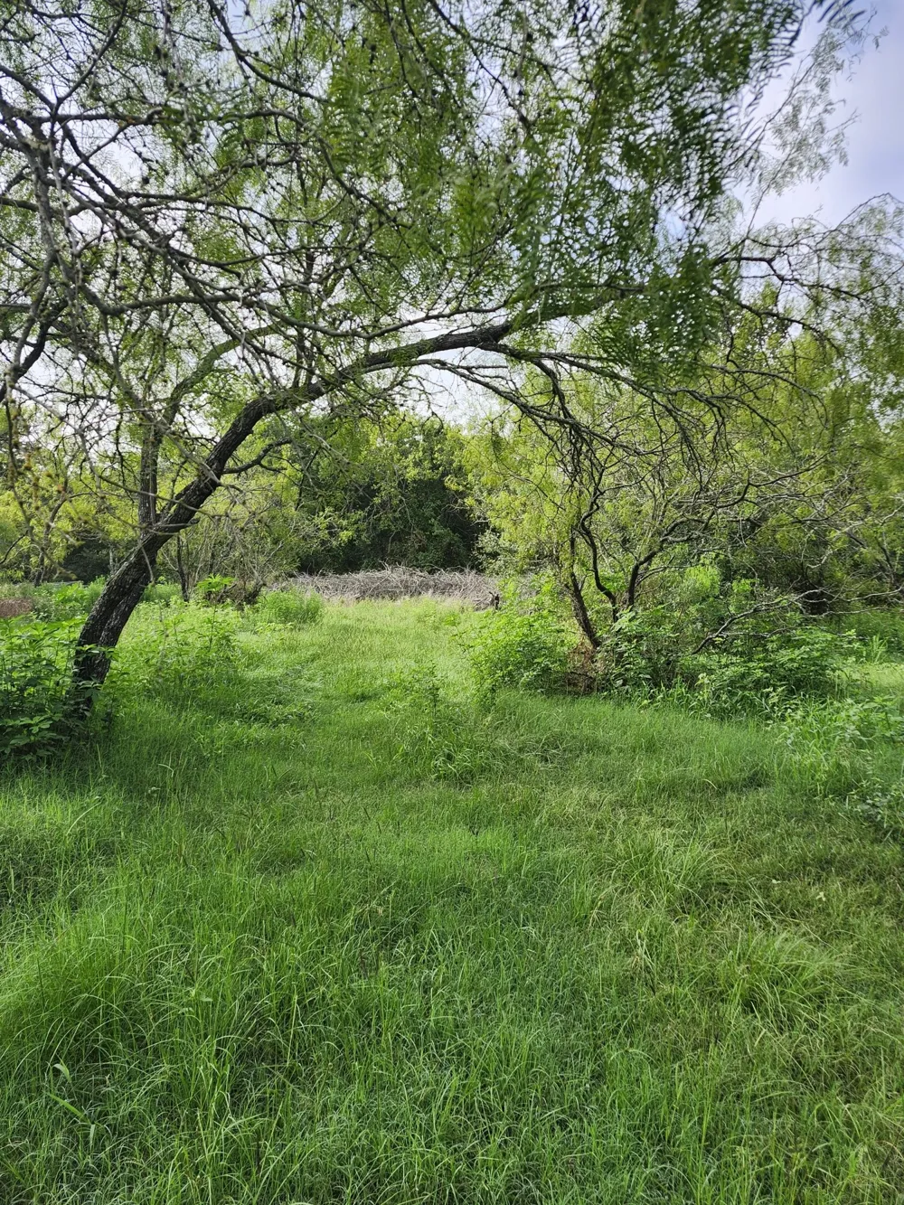 1202 Park Street Marlin, TX 76661