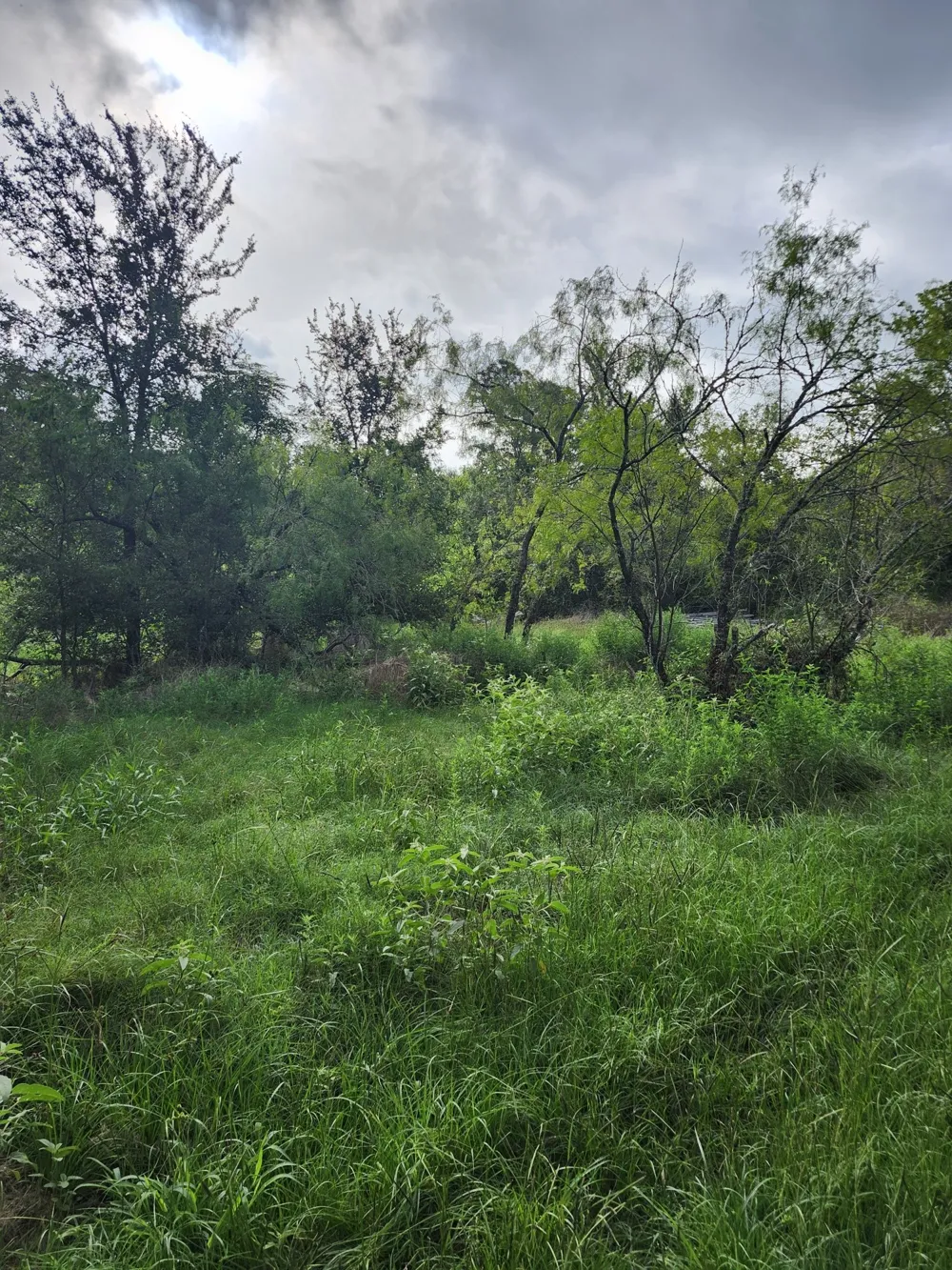 1202 Park Street Marlin, TX 76661