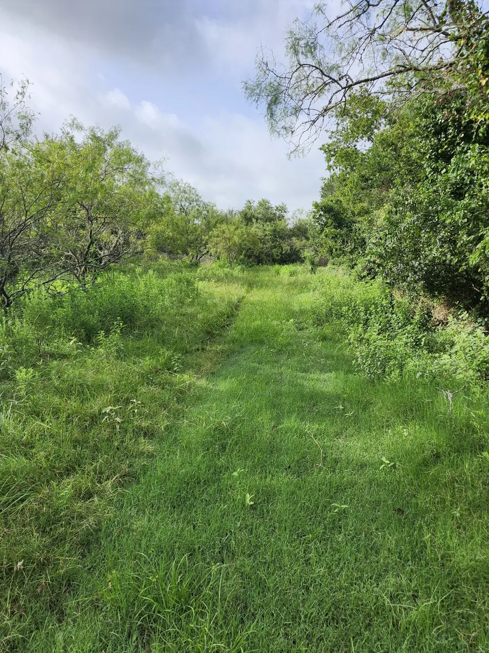 1202 Park Street Marlin, TX 76661