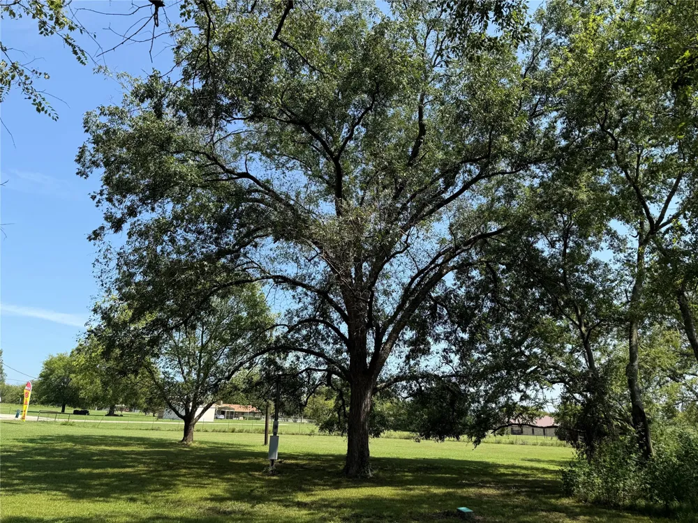 1049 Industrial Boulevard Point, TX 75472
