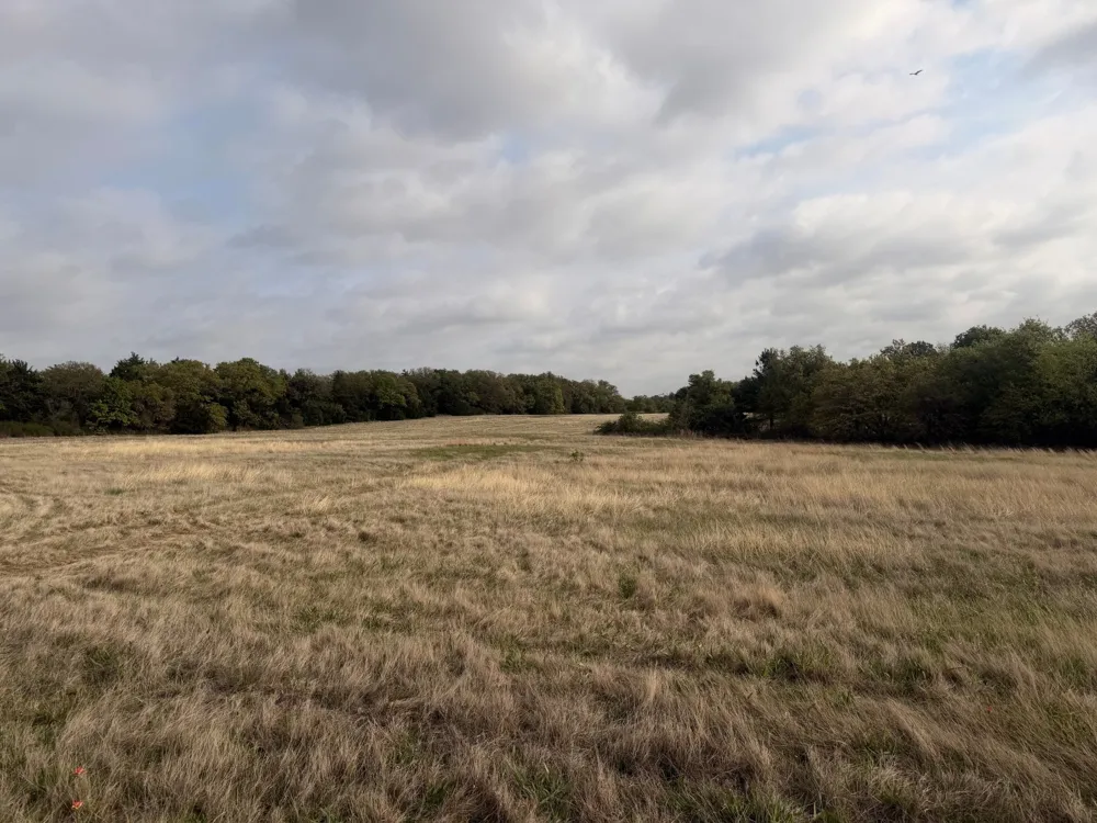 2548 County Road 2690 Alvord, TX 76225