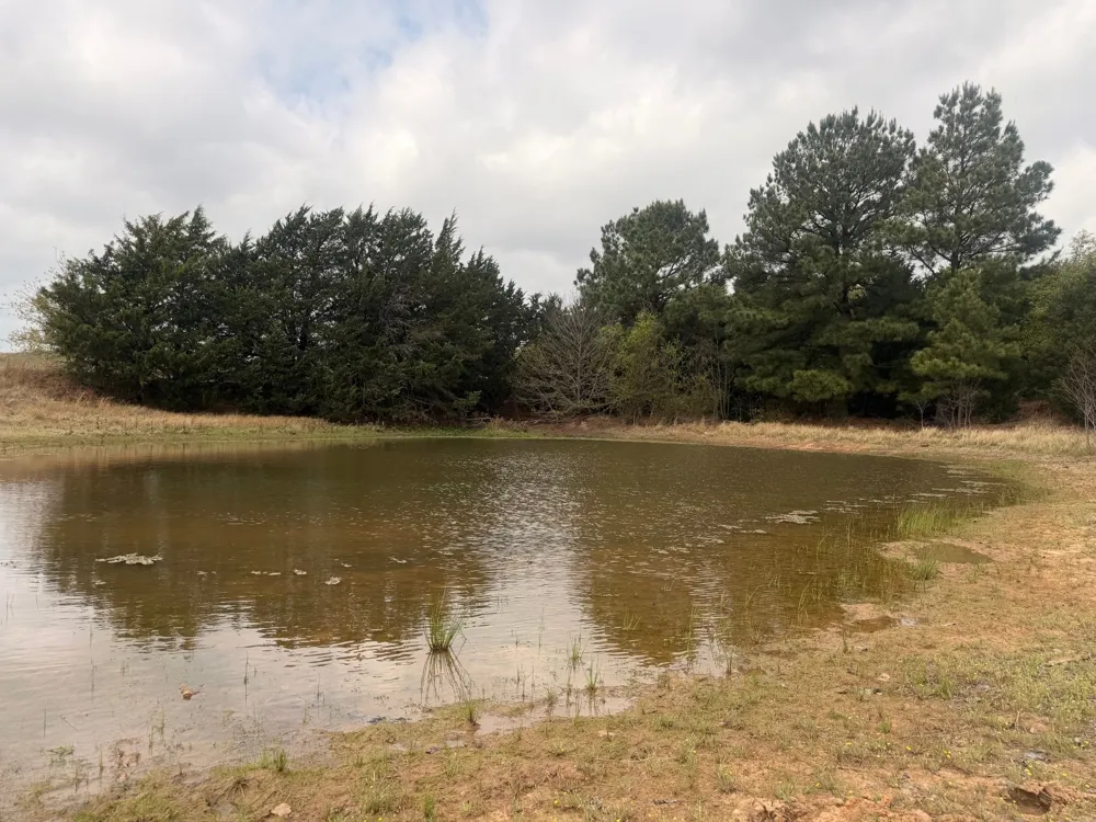 2548 County Road 2690 Alvord, TX 76225