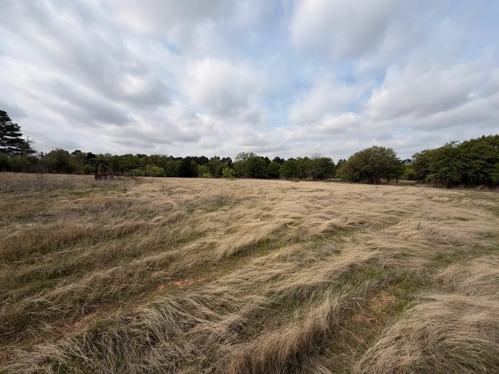2548 County Road 2690 Alvord, TX 76225
