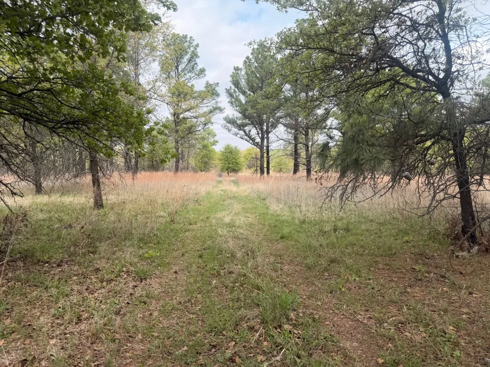 2548 County Road 2690 Alvord, TX 76225