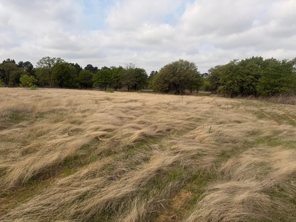 2548 County Road 2690 Alvord, TX 76225