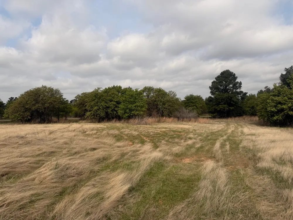 2548 County Road 2690 Alvord, TX 76225