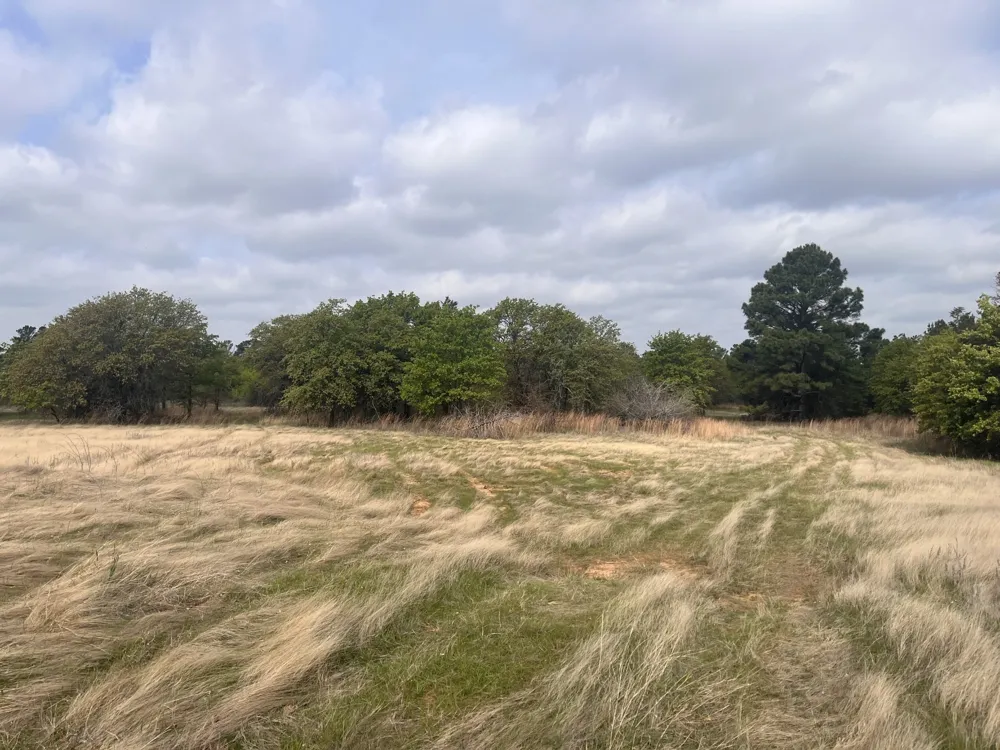 2548 County Road 2690 Alvord, TX 76225