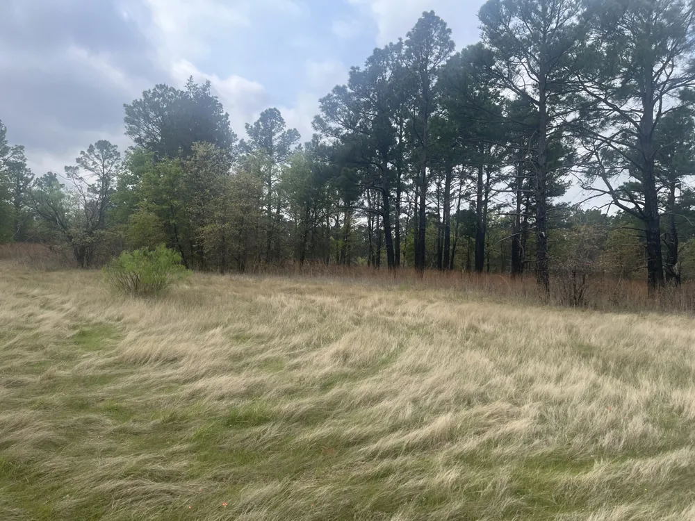 2548 County Road 2690 Alvord, TX 76225