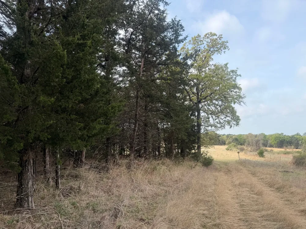 2548 County Road 2690 Alvord, TX 76225