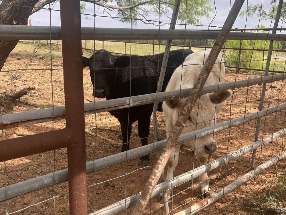 2548 County Road 2690 Alvord, TX 76225