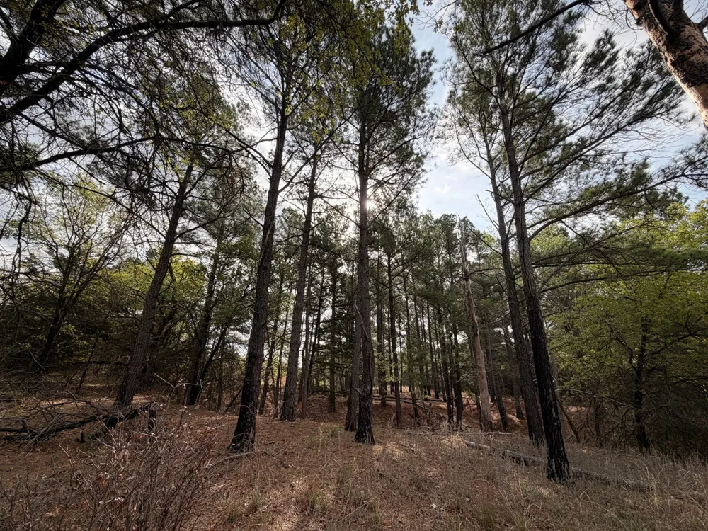 2548 County Road 2690 Alvord, TX 76225