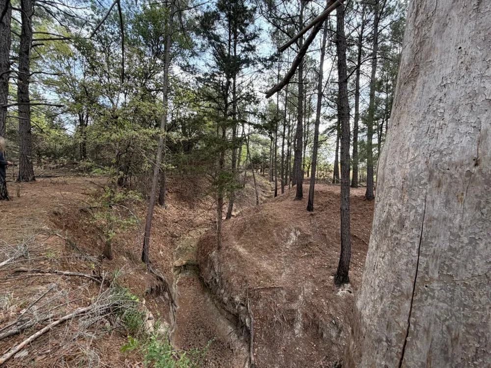 2548 County Road 2690 Alvord, TX 76225