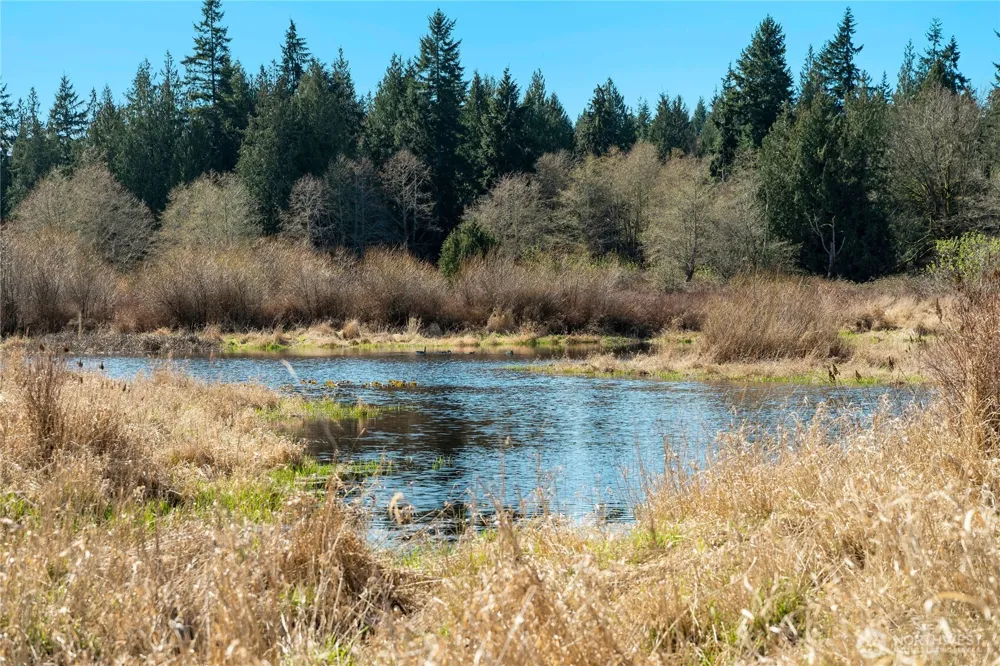 4320 Barbara Lane Clinton, WA 98236