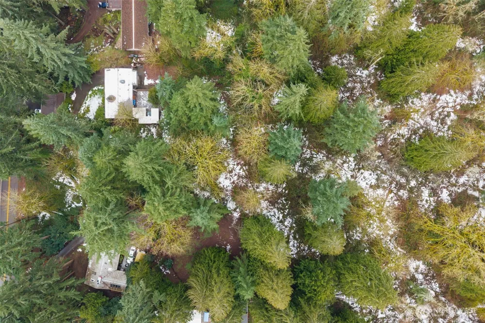 31204 55th Avenue S Auburn, WA 98001