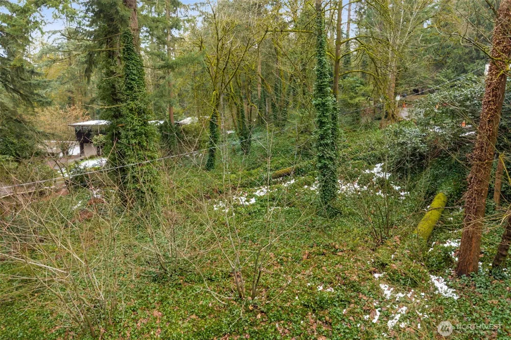 31204 55th Avenue S Auburn, WA 98001