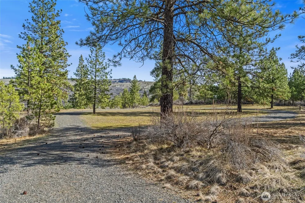 38800 E Sand Flats Davenport, WA 99122