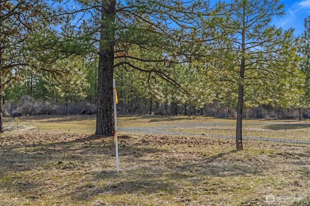 38800 E Sand Flats Davenport, WA 99122