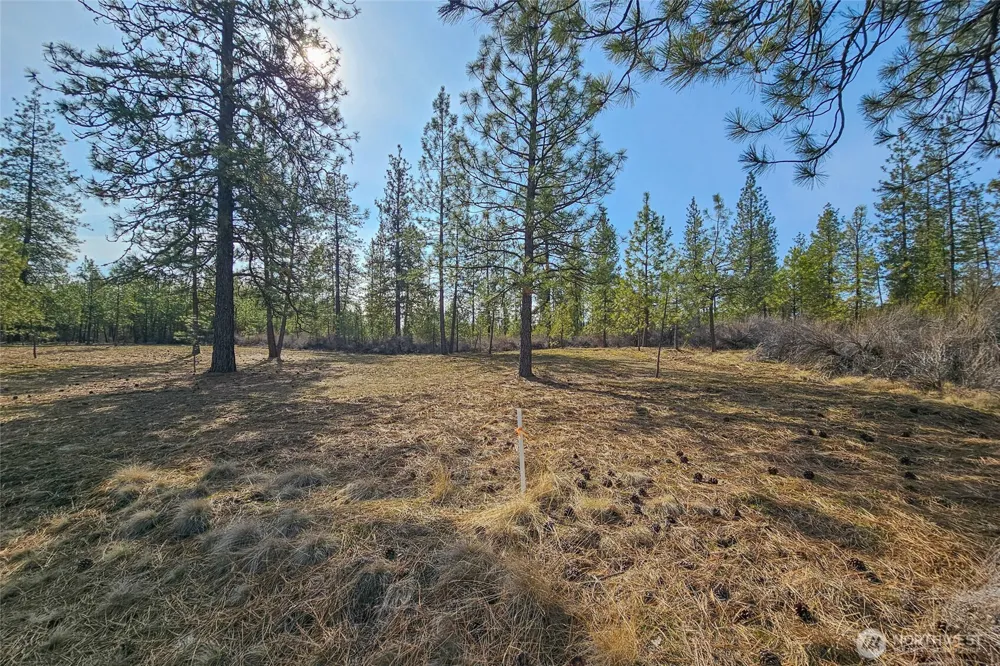 38800 E Sand Flats Davenport, WA 99122