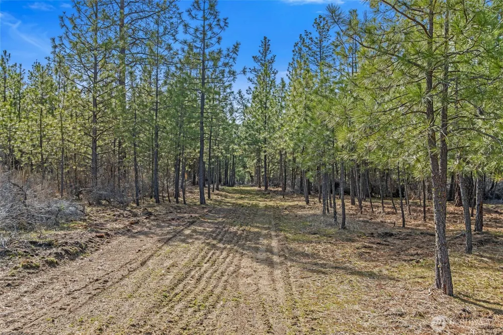 38800 E Sand Flats Davenport, WA 99122