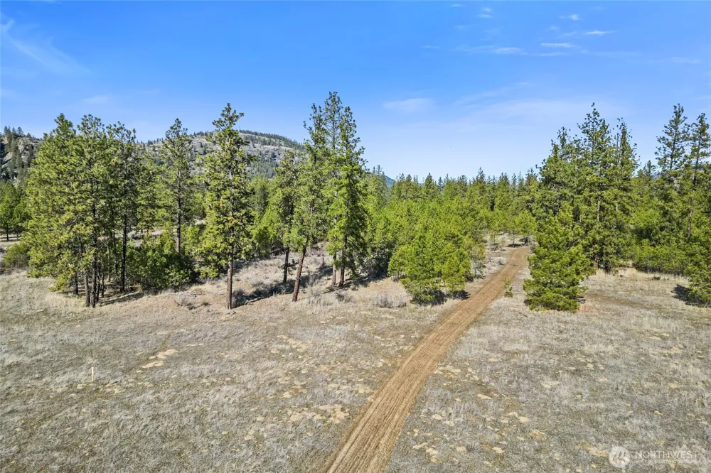 38800 E Sand Flats Davenport, WA 99122