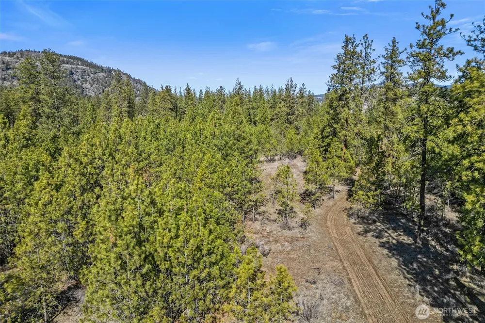 38800 E Sand Flats Davenport, WA 99122