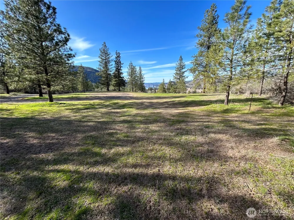 38800 E Sand Flats Davenport, WA 99122