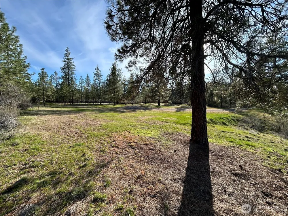 38800 E Sand Flats Davenport, WA 99122