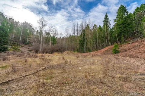 130 Grey Eagle Way