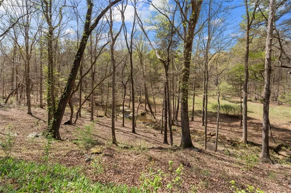 3880 Fern Springs Lane Douglasville, GA 30135