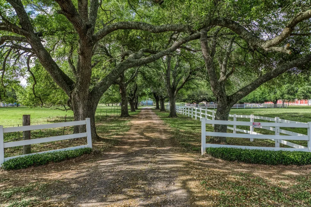 18935 Fm 2920 Road Tomball, TX 77377