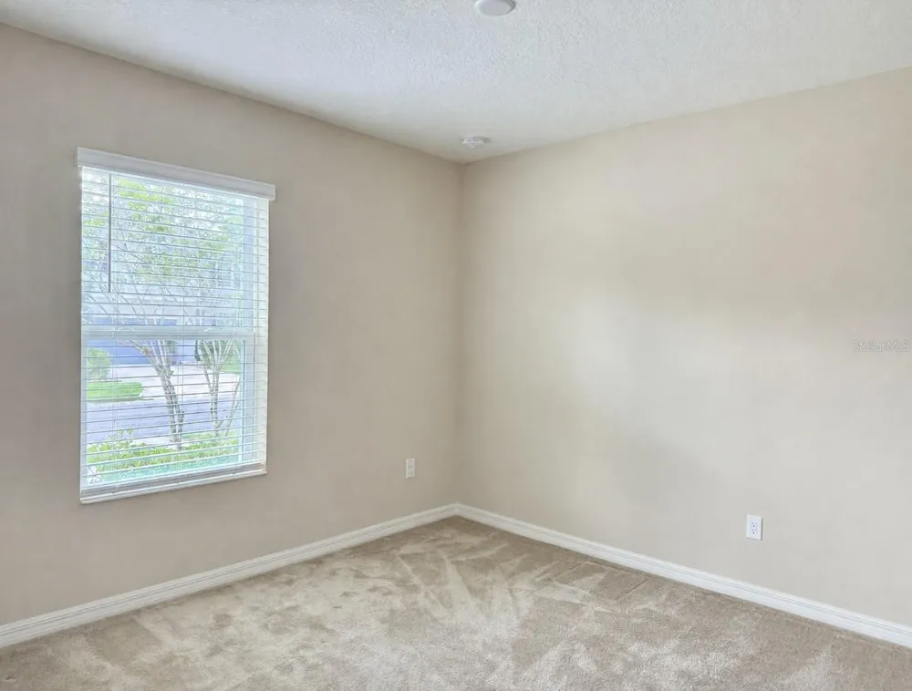 9242 FREEDOM HILL DR Seffner, FL 33584