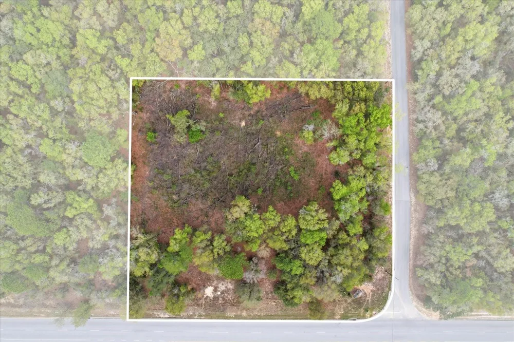 161 W NORVELL BRYANT HIGHWAY Hernando, FL 34442