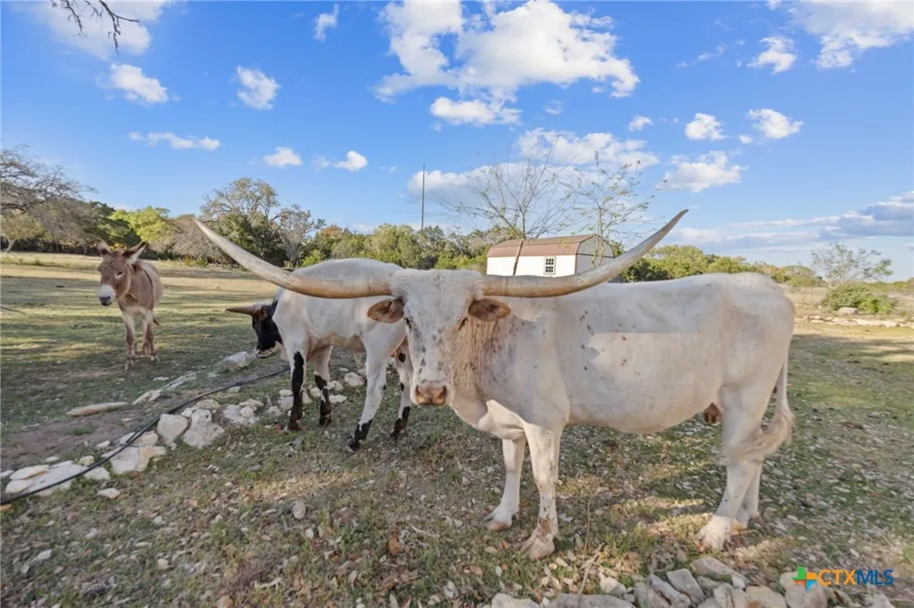 375 Branch Creek Trail Liberty Hill, TX 78642