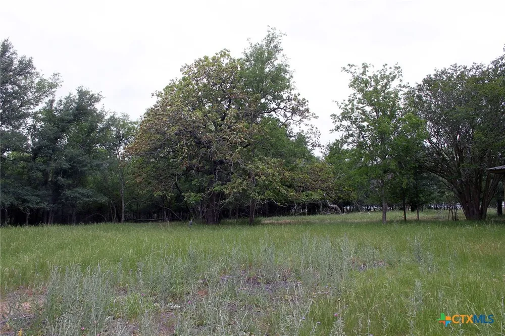 7887 Pettytown Road Red Rock, TX 78662