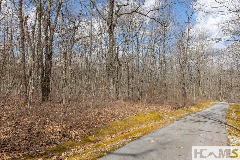 Lot 16 Glenridge Road Glenville, NC 28736