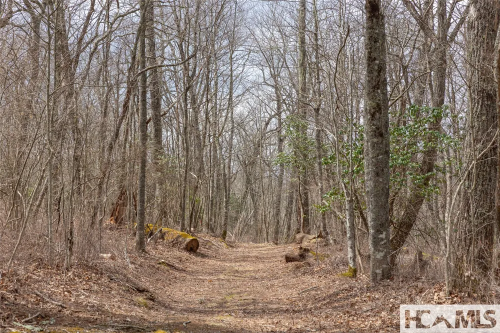 Lot 16 Glenridge Road Glenville, NC 28736