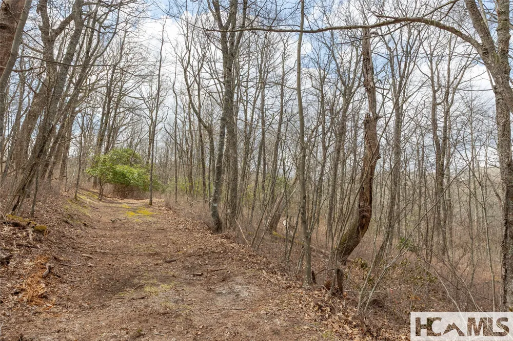 Lot 16 Glenridge Road Glenville, NC 28736