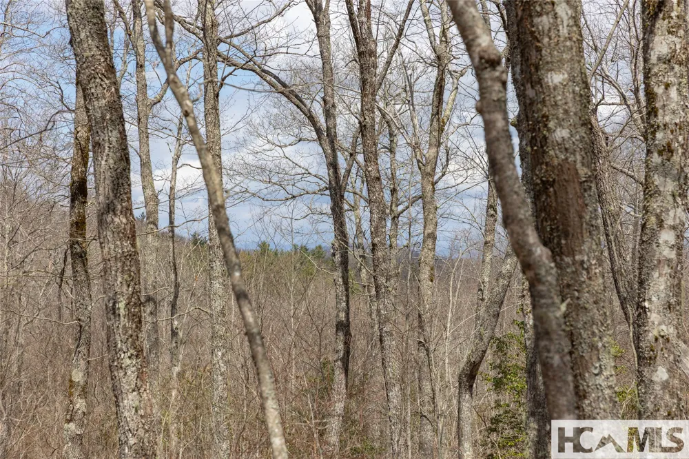 Lot 16 Glenridge Road Glenville, NC 28736