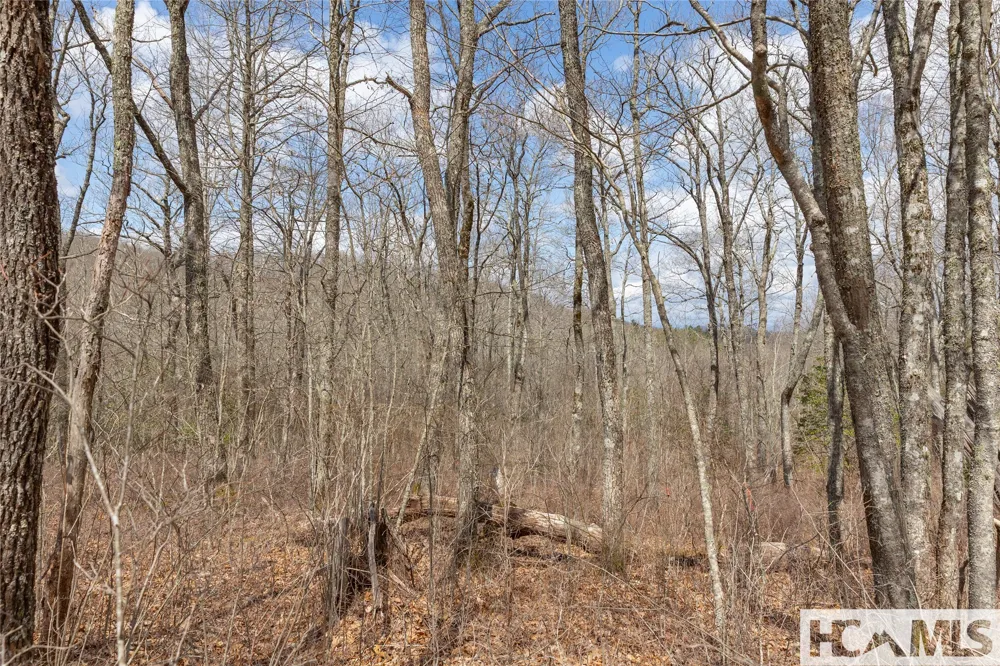 Lot 16 Glenridge Road Glenville, NC 28736