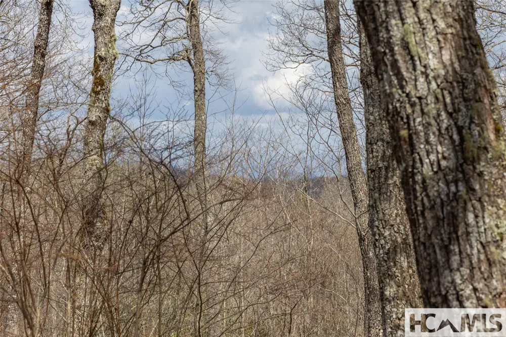 Lot 16 Glenridge Road Glenville, NC 28736