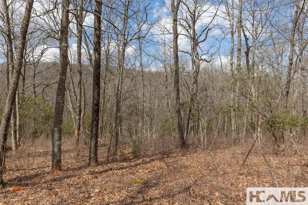 Lot 16 Glenridge Road Glenville, NC 28736
