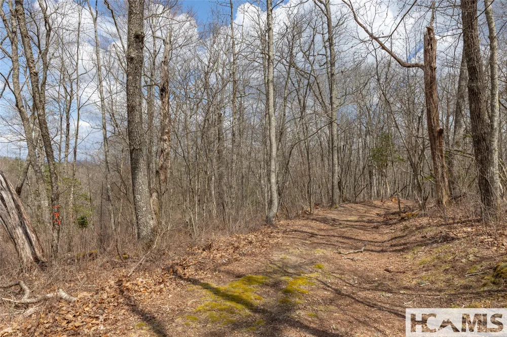 Lot 16 Glenridge Road Glenville, NC 28736