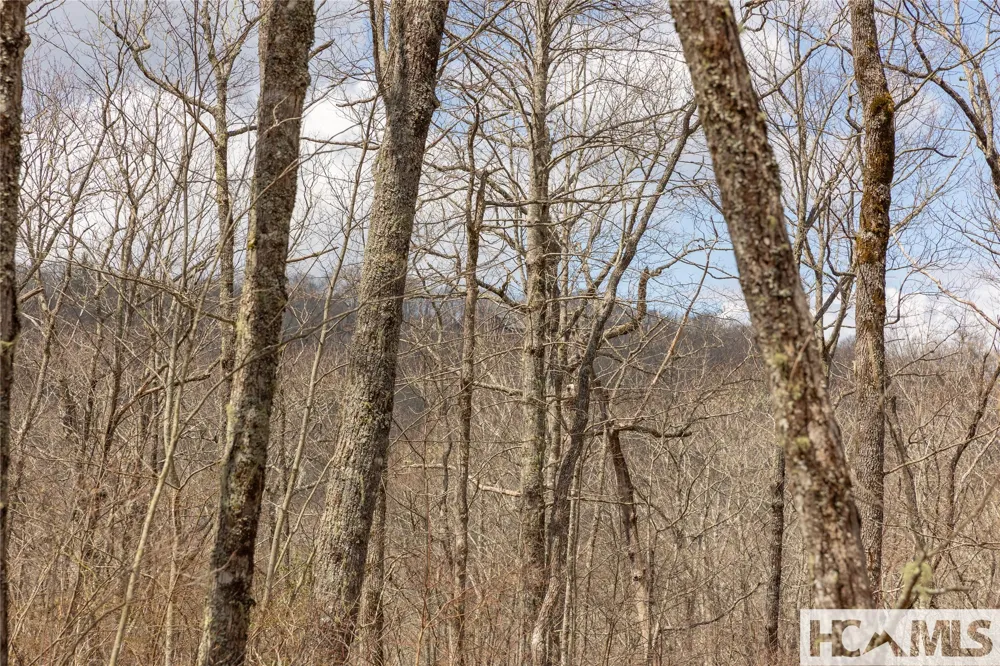 Lot 16 Glenridge Road Glenville, NC 28736