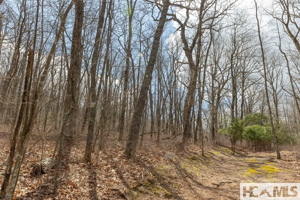 Lot 16 Glenridge Road Glenville, NC 28736