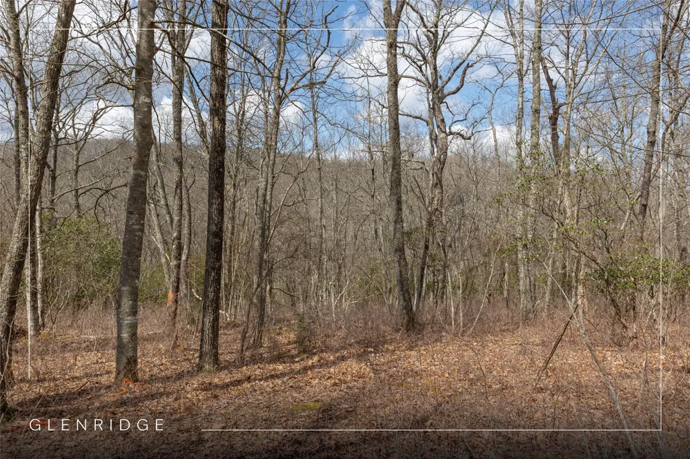 Lot 16 Glenridge Road Glenville, NC 28736