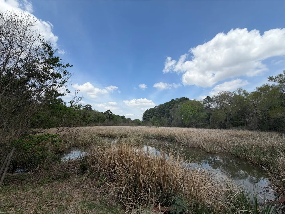 118 Edmonson Ranch Road McDade, TX 78650