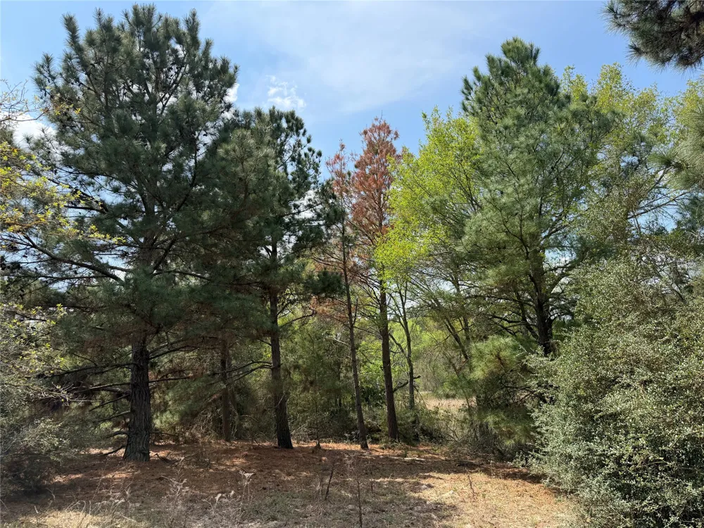 118 Edmonson Ranch Road McDade, TX 78650